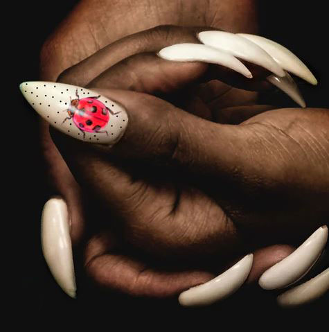 Hand Painted Ladybug Nails