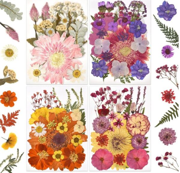 best dried flowers for nail art dalaran