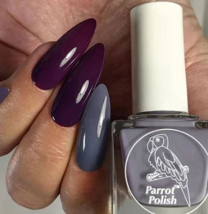 Purple Grey Polish
