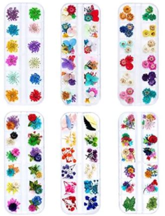 Dried Flower Value Pack