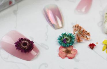 Dried Flower Sets For Nail Art