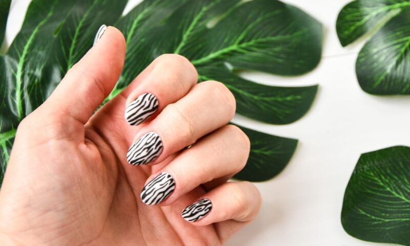 zebra nail art ideas list