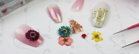 Dried Flowers For Nails